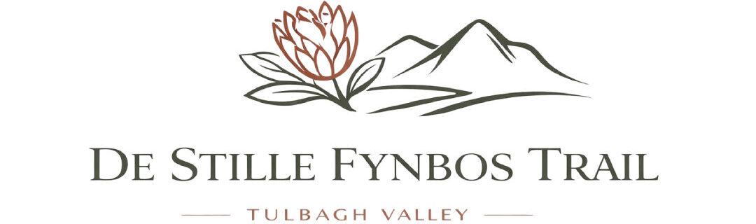 cropped cropped New Project 12.jpg